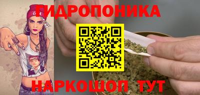 стафф Краснознаменск