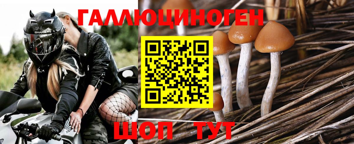 Псилоцибиновые грибы MAGIC MUSHROOMS  Вход с VPN  Псилоцибиновые грибы Magic Shrooms  Ипатово 