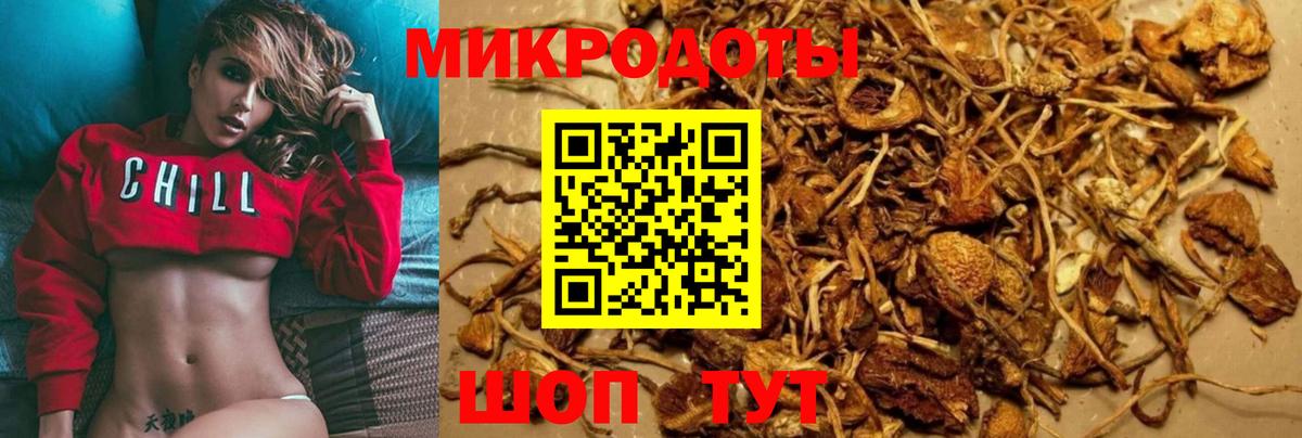Псилоцибиновые грибы Cubensis Ипатово